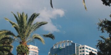 palm trees and a building