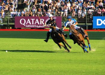 two person playing polo during daytime