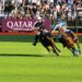 two person playing polo during daytime