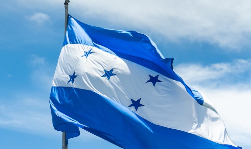 a blue and white flag flying in the wind