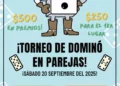 Torneo de Dominó en Parejas 🗓